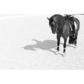 DSB - Dressage Sport Boot Small Black