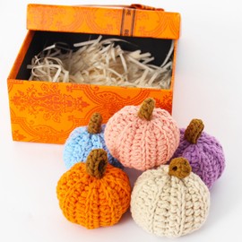 WILLITAT Knit Pumpkins for Fall Decor – Set of 5 Mini Soft Pumpkins, Cozy Hygge Decorative Accents for Shelf, Table, Mantel, Tiered Tray, Fall Gifts for Women with Gift Box, Farmhouse Autumn Decor