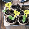 KINGLAKE 100pcs 6x10cm Plastic Plant Labels for Seeds, Seedling, Vegetables,