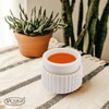 VICTORIA AROMA Ceramic Wax Melt Warmer with 1 pc Silicone