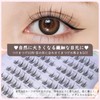 False Eyelashes, Partial False Eyelashes, Natural Bunch, Popular, DIY, Cute,