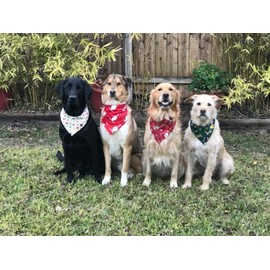 Christmas Dog Bandanas 12 Pack