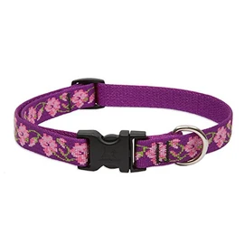 LupinePet Originals 3/4" Rose Garden 15-25" Adjustable Collar for Large Dogs