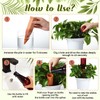 SiliFine 6 Sets Plant Watering Devices Include Terracotta Self Watering