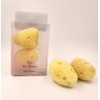Review Review Natural Sea Sponge 2P / 리투뷰 천연해면 스펀지2P