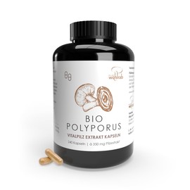 Pilze Wohlrab - BIO Polyporus Extrakt Kapseln - 1 Dose - 240 Kapseln - 350 mg reines Pilz Extrakt je Kapsel - Vitalpilze Extrakt - Vitamin C Acerola