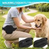WINPAWS Dog Treat Pouch with Training Clicker and 2 Poop