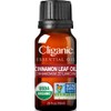 Cliganic Organic Cinnamon Leaf Essential Oil, 100% Pure Natural for