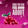 Zevia Zero Sugar Soda, Cran-Raspberry, 12 oz Cans (6-Pack) –
