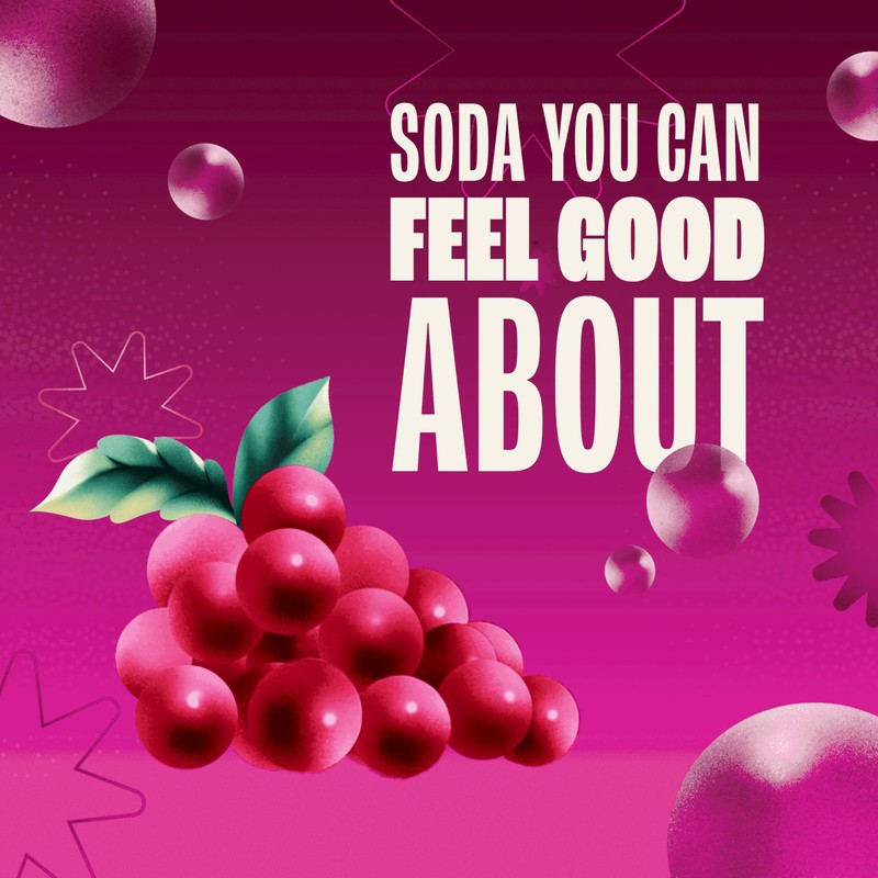 Zevia Zero Sugar Soda, Cran-Raspberry, 12 oz Cans (6-Pack) –