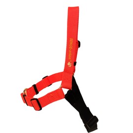 The Original Sense-ation No-Pull Dog Training Harness (Medium, Neon Orange)