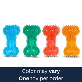 AMERICAN KENNEL CLUB AKC Candy Color TPR Dental Dog Toy – Spiked Squeaky Ball, Ring, or Bone – Vanilla Scented – Promotes Healthy Teeth & Gums – Assorted Colors