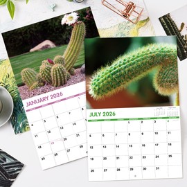 Gag Gifts - 2025 Wall Calendar, White Elephants Nature's Butts, 2025 Calendar with Thick Paper, 8.5" x 11", Jan.2025 - Dec.2025, 12 Monthly Calendar Planner, Wall Calendar 2025, Funny Calendar for Family, Friends