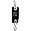 Báscula grúa for equipaje, grúa digital, elevación industrial pesada