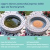 YUMEWARM 1Pack Bird Bath Copper Purification Disk | 0.6mm Reinforced