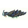 Premier Peacock With Feather Tail On Clip - 25cm