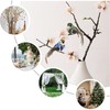 5 Pieces Decorative Birds Artificial Birds Small Artificial Birds Hanging