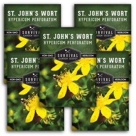 St. John's Wort Seeds for Planting - 5 Packets with Instructions to Plant & Grow Beneficial Perennial Herbs in Your Home Herb Garden - Non-GMO Heirloom Variety - Survival Garden Seeds