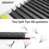SEEDEW 4D-Double Tips Lash Extensions, 0.07mm C Curl MIX8-15mm 12