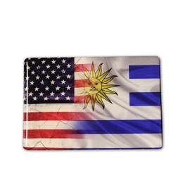 America USA Uruguay Dual Country Domed Decal Distress Sticker 3D 3.25"x2"