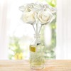 Penny & Rose White Rose Diffuser | Sunrise Dew Oil