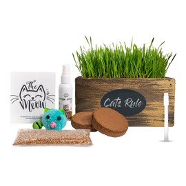 CALI KIWI PROS Ornamental Indoor Planter with Pet/Cat Grass Growing kit, Handcrafted in The USA from Red Cedar (Golden Aged)