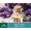 Southern Seeds Self Heal (Heal All) - Heirloom Seeds -