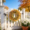 HipTree 18 Inch Fall Fern Eucalyptus Wreath Autumn Front Door