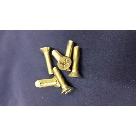 Triumph TR250-TR6 Spitifire Stainless Steel  Screw Set for Door Latch
