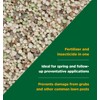 The Andersons Professional 17-0-3 Fertilizer with Grubout Plus 18,100 sq