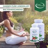 Hannes Pure Lebenslust Ashwagandha 120 Kapseln, 1 Monat Vorrat, Frei
