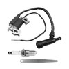 196cc 208cc Ignition Coil for Briggs & Stratton 590603 CR950 Champion Generac Duromax Firman Ryobi Predator Honda 159cc 163cc 212cc 224cc Log Splitter Washer Generator 1 Pack