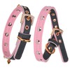LOVPE Cat Collar/Dog Collar Golden Spiked Studded Double Layer Leather