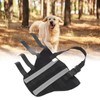 Dog Hind Leg Brace Stable Support Knee Pads Puppy Rear