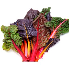 Samen Schenker Swiss Chard Seeds 50 Rainbow Mix Chard Seeds for Planting Vegetables Seeds for Outdoor Indoor Garden Planting Gardening Gift, Green