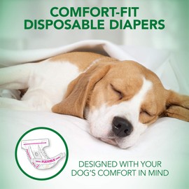 Vet's Best Comfort Fit Dog Diapers | Disposable Female Dog Diapers | Absorbent with Leak Proof Fit | Medium, 30 Count