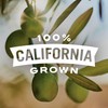 Early California Low-Sodium Medium Ripe Pitted Olives, Pack of 12,