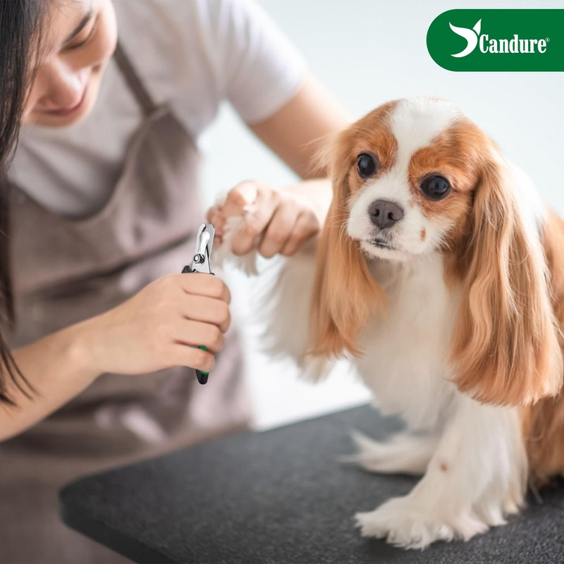 Candure Dog Nail Clippers Professional Pet Nail Clipper Suitable for