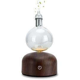 Lychee Rechargeable Waterless Essential Oil Diffuser, Aromatherapy Spray Glass Oil Diffuser, Touch Control with 2 Modes,Travel Portable，Silent Operation and Auto-Off Yellow Light for Home Office