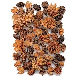 Daichi Farm DO024884-000 Dried Flowers, Cone Assortment, Natural, Approx. L 0.4 - 1.8 inches (1.0 - 4.5 cm), 3.5 oz (100 g)