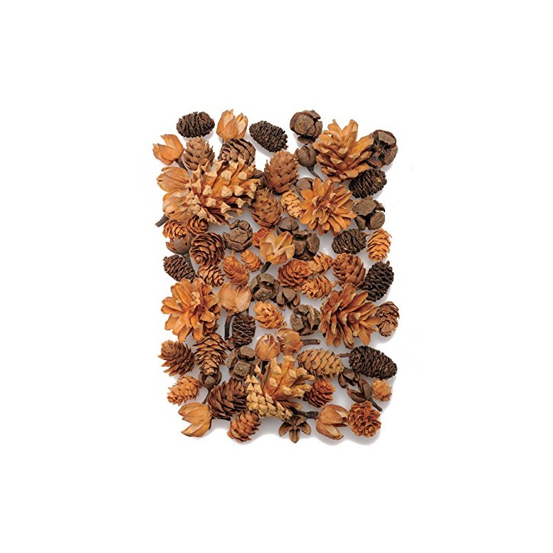 Daichi Farm DO024884-000 Dried Flowers, Cone Assortment, Natural, Approx. L