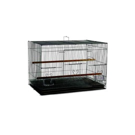 A&E Cage Co. 30"x18" Flight in Color Retail Box (single pack)