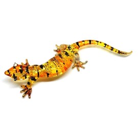 Handmade Lizard Art Glass Blown Reptiles Animal Figurine by We Are Handmade Figurine Art Glass Blown