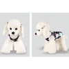 FFWTPY Pack of 3 Dog Clothes Breathable Shirt Cute Cat