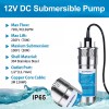 ‎ECO-WORTHY 12V DC Submersible Deep Well Pump 3.2GPM 230ft for