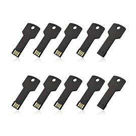 RAOYI - Paquete de 10 unidades de memoria USB de 16 G, memoria de metal, 16 GB, USB 2.0, color negro