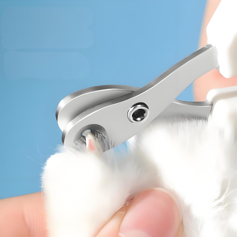 Anphly Stainless Steel pet Nail Clipper Blue, 1 Piece per