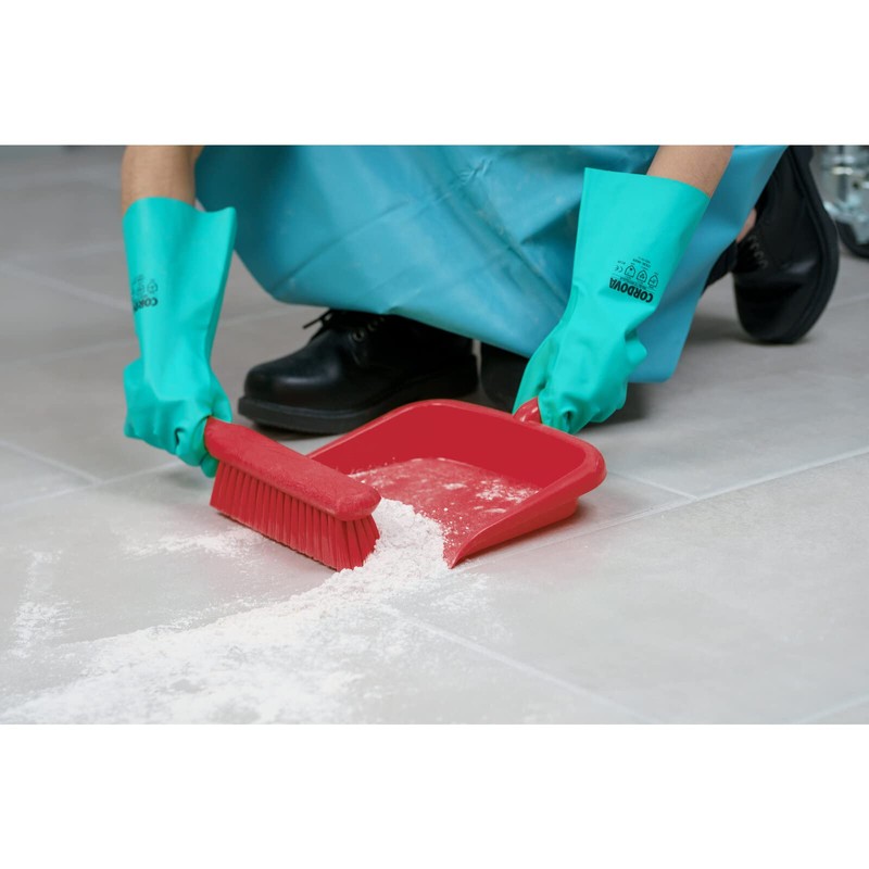 SPARTA Large Handheld Dustpan with Hanging Hole, Heavy-Duty Plastic Dustpan
