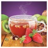 Lucina Tisanas EXPRESIÓN TISANA FRUTAL}, Fresa Kiwi, 100 gramos