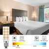 E14 European Base Bulb e14 led Bulb Turkish Lamp Bulb